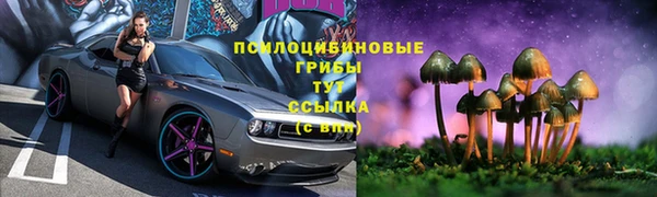 марки nbome Горнозаводск