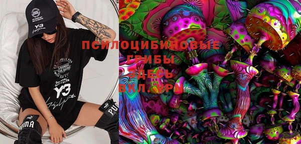 прущие грибы Вязьма