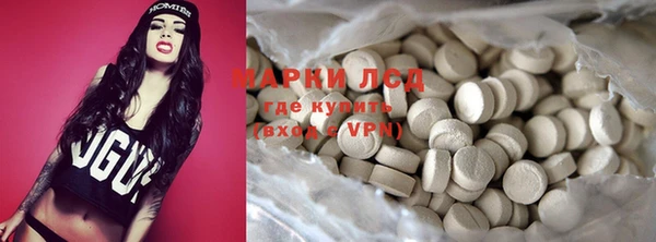прущие грибы Вязьма