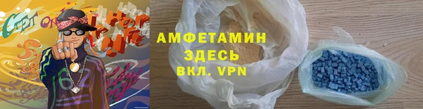 прущие грибы Вязьма