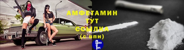 прущие грибы Вязьма
