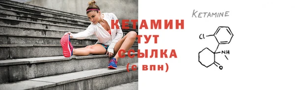 прущие грибы Вязьма