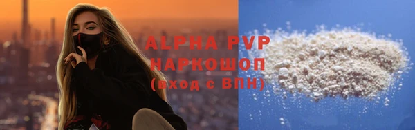 прущие грибы Вязьма