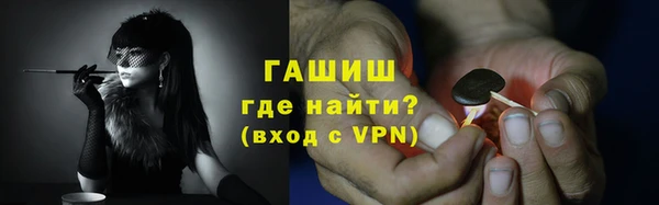 прущие грибы Вязьма