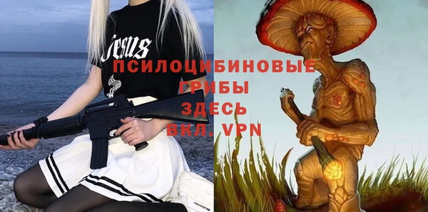 героин Вяземский