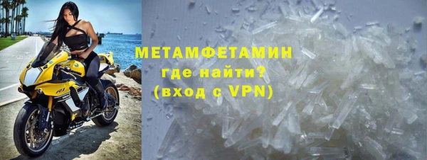 прущие грибы Вязьма