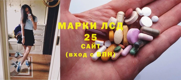 прущие грибы Вязьма