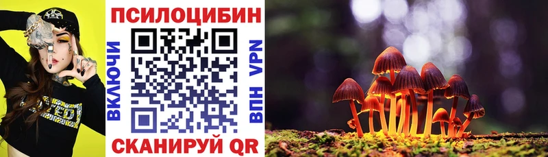 Галлюциногенные грибы мицелий  Грозный 